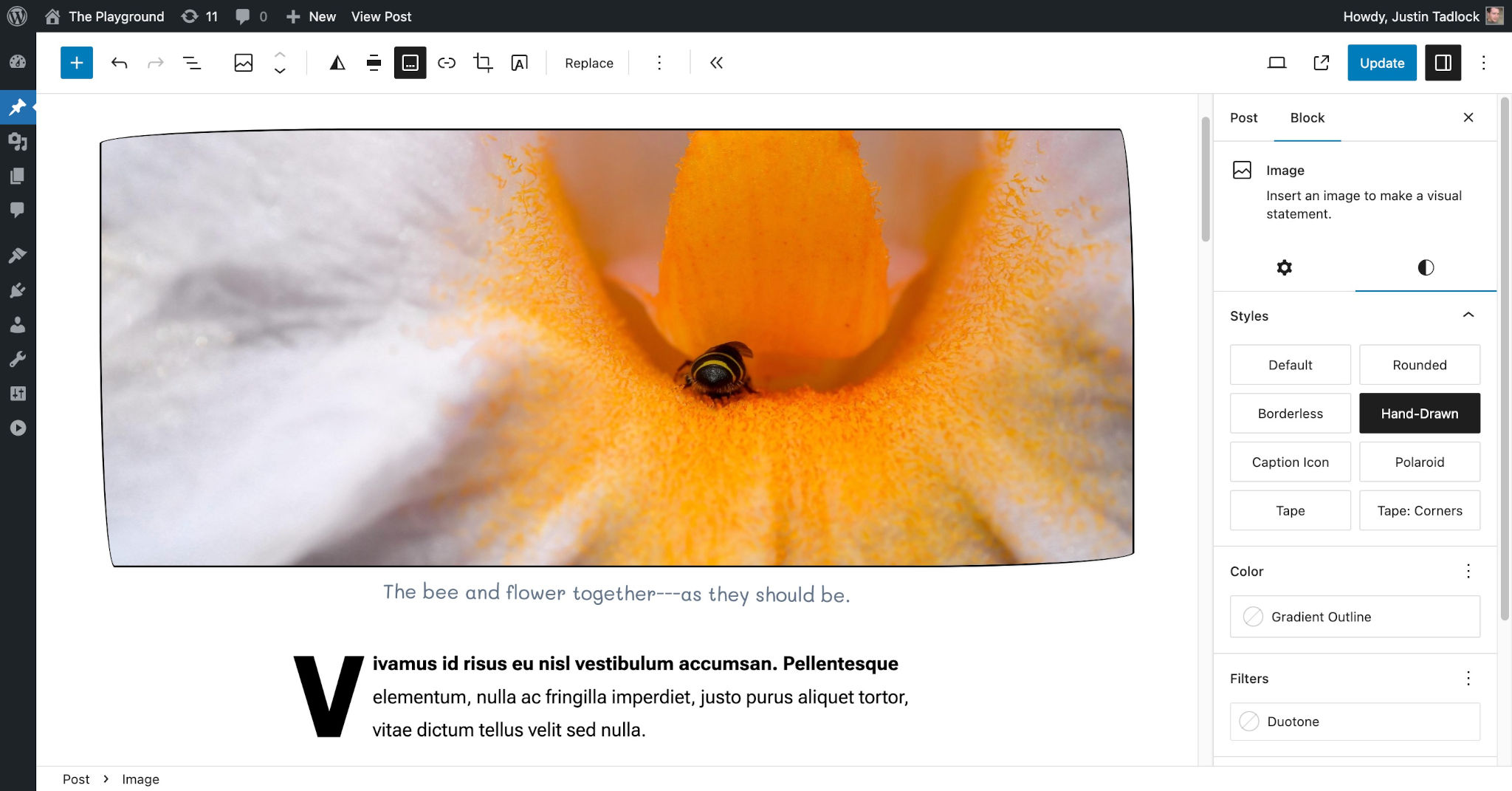 WordPress post editor showing an Image block with a hand-drawn style in the content canvas.