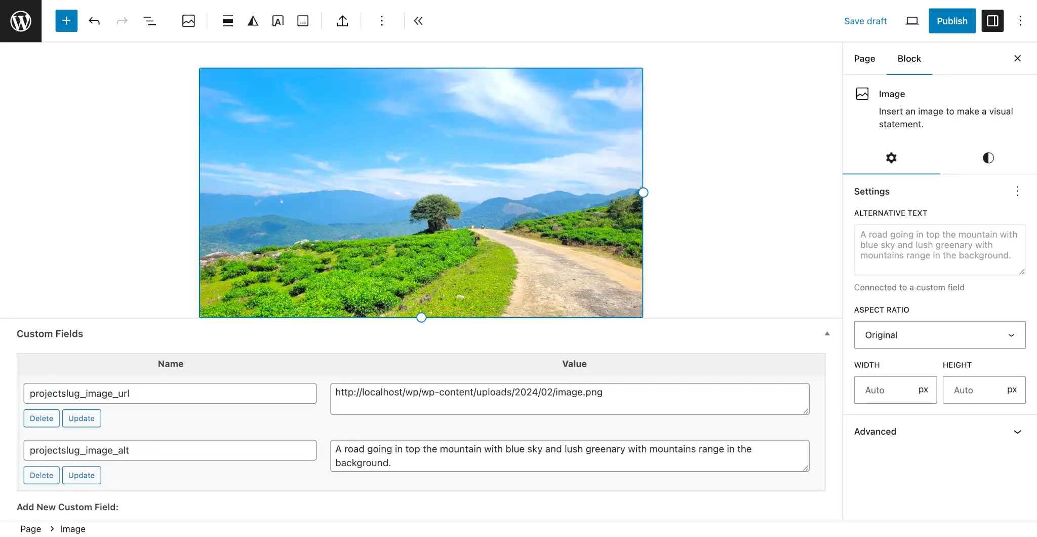 WordPress 文章编辑器，显示一张道路和山脉的图像。编辑器底部是与图像 URL 和替代文本关联的两个自定义字段。