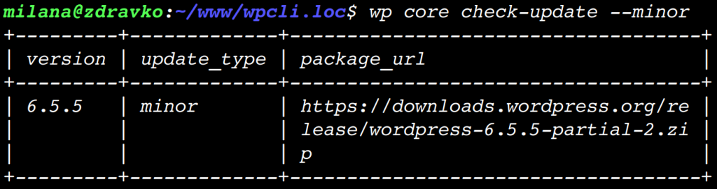 可用更新表 - 检查是否有次要版本更新的 WP-CLI 命令输出。