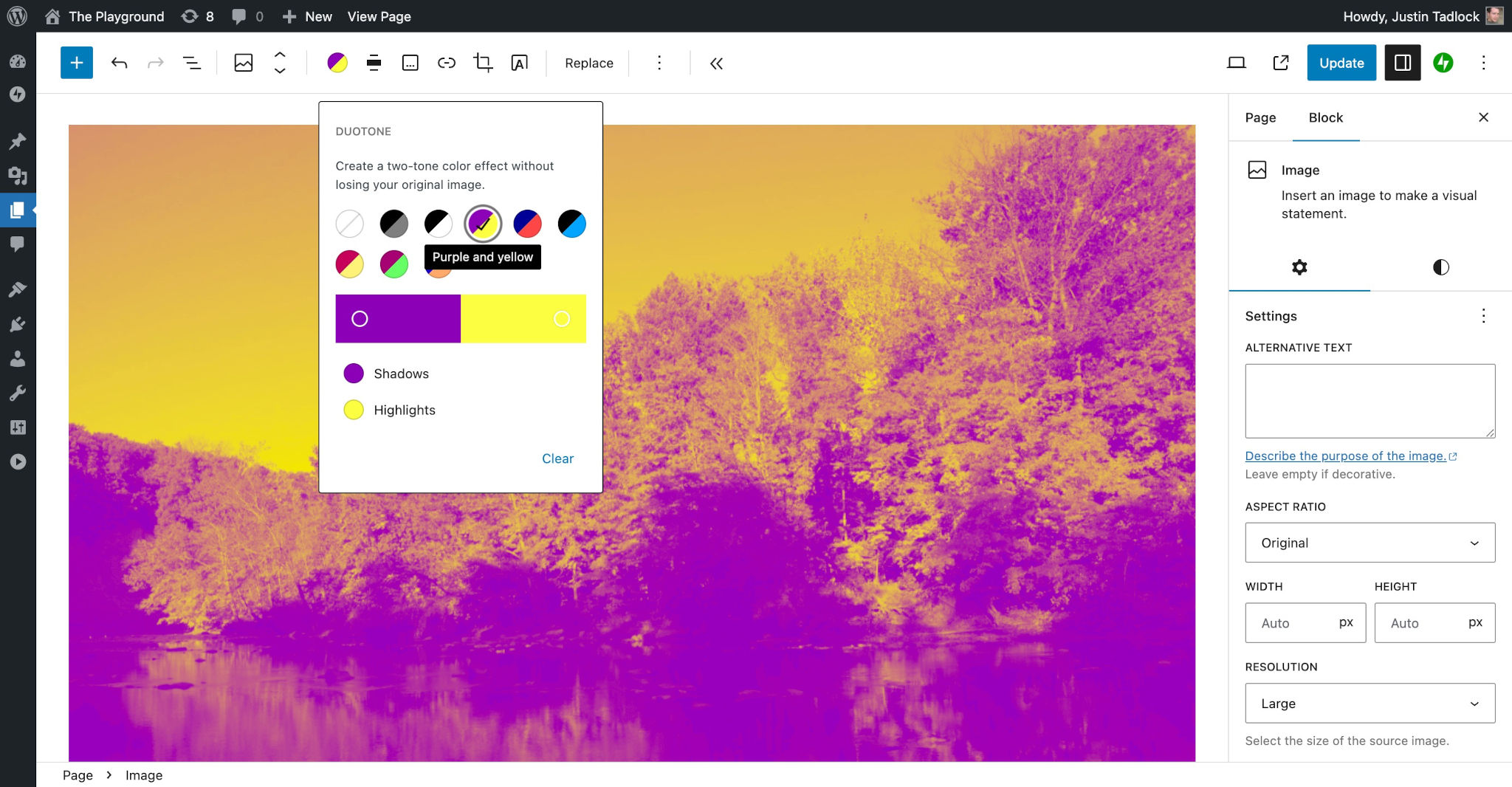 WordPress post editor with a purple and yellow duotone filter applied to an Image in the content canvas.