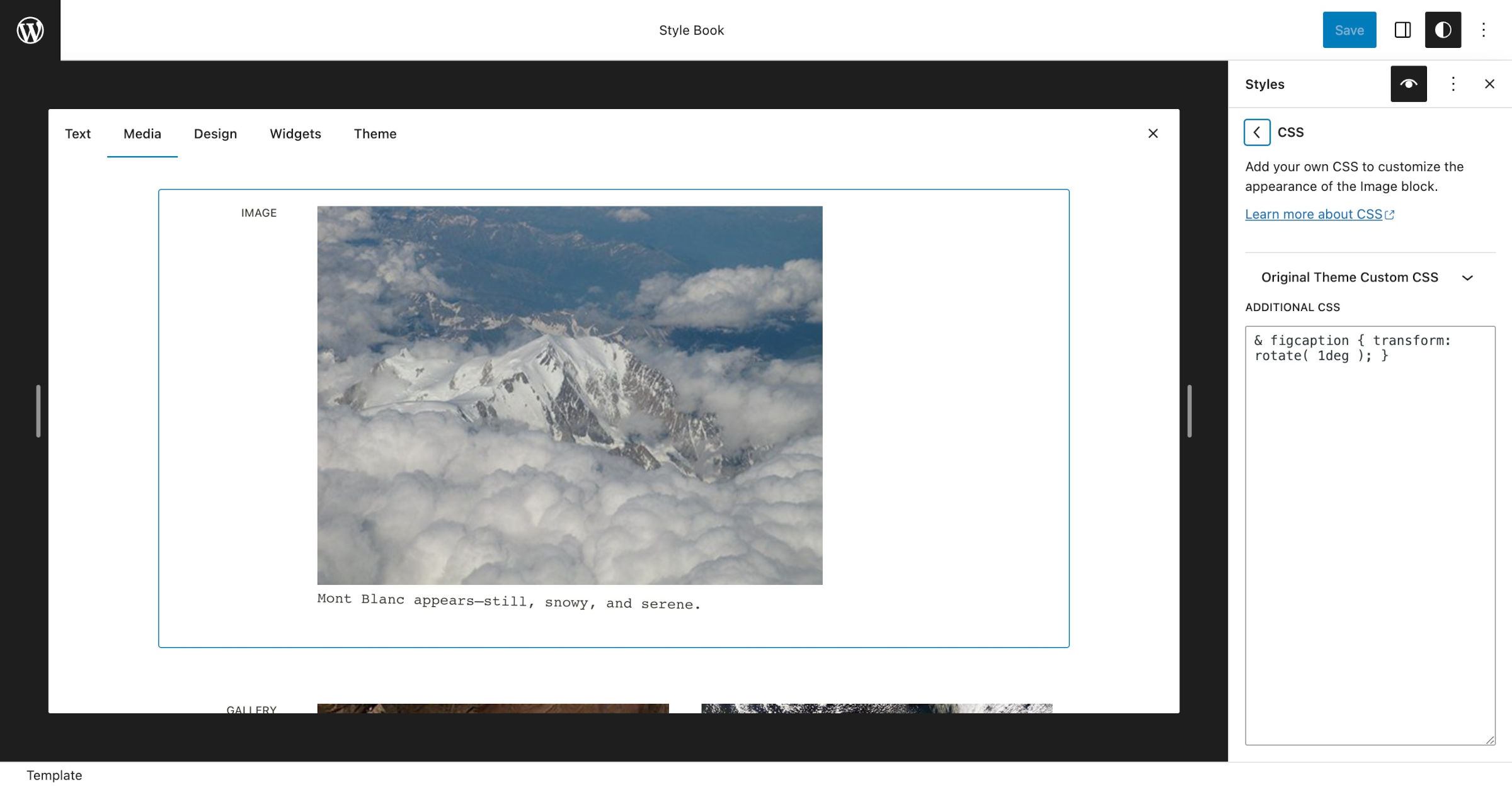 WordPress 样式书,选中了图片区块和一个倾斜的说明文字。右侧显示了附加 CSS 字段,其中包含说明文字的自定义 CSS 代码。