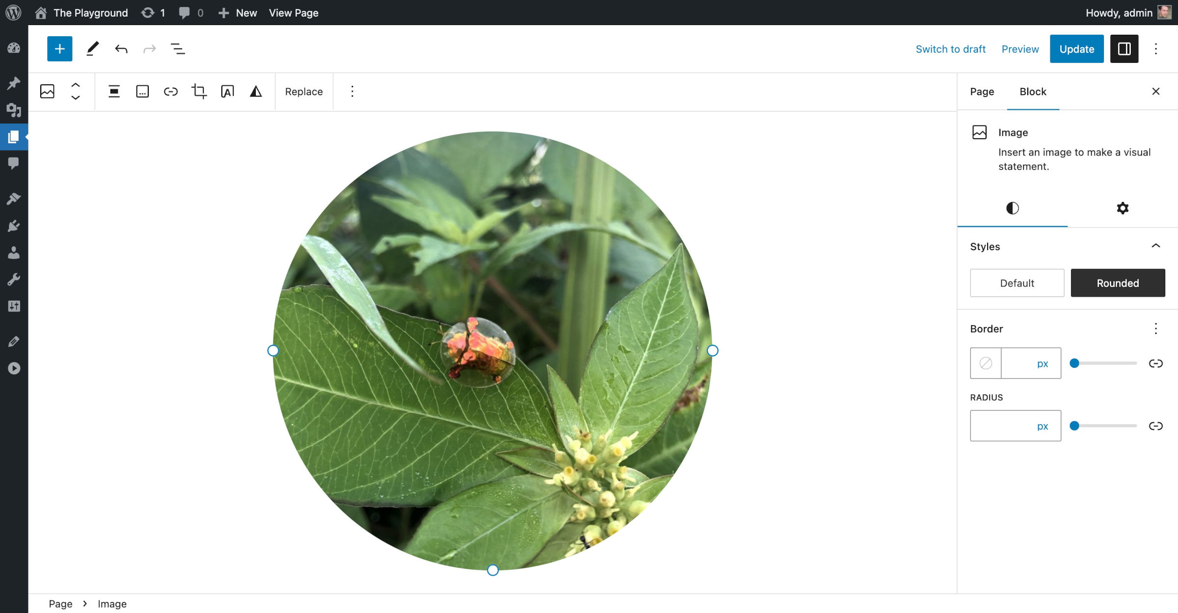WordPress 文章编辑器，内容画布中显示了一张叶子上的虫子的圆角图片。