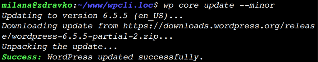 将 WordPress 更新到最新次要版本的 WP-CLI 命令的终端输出。