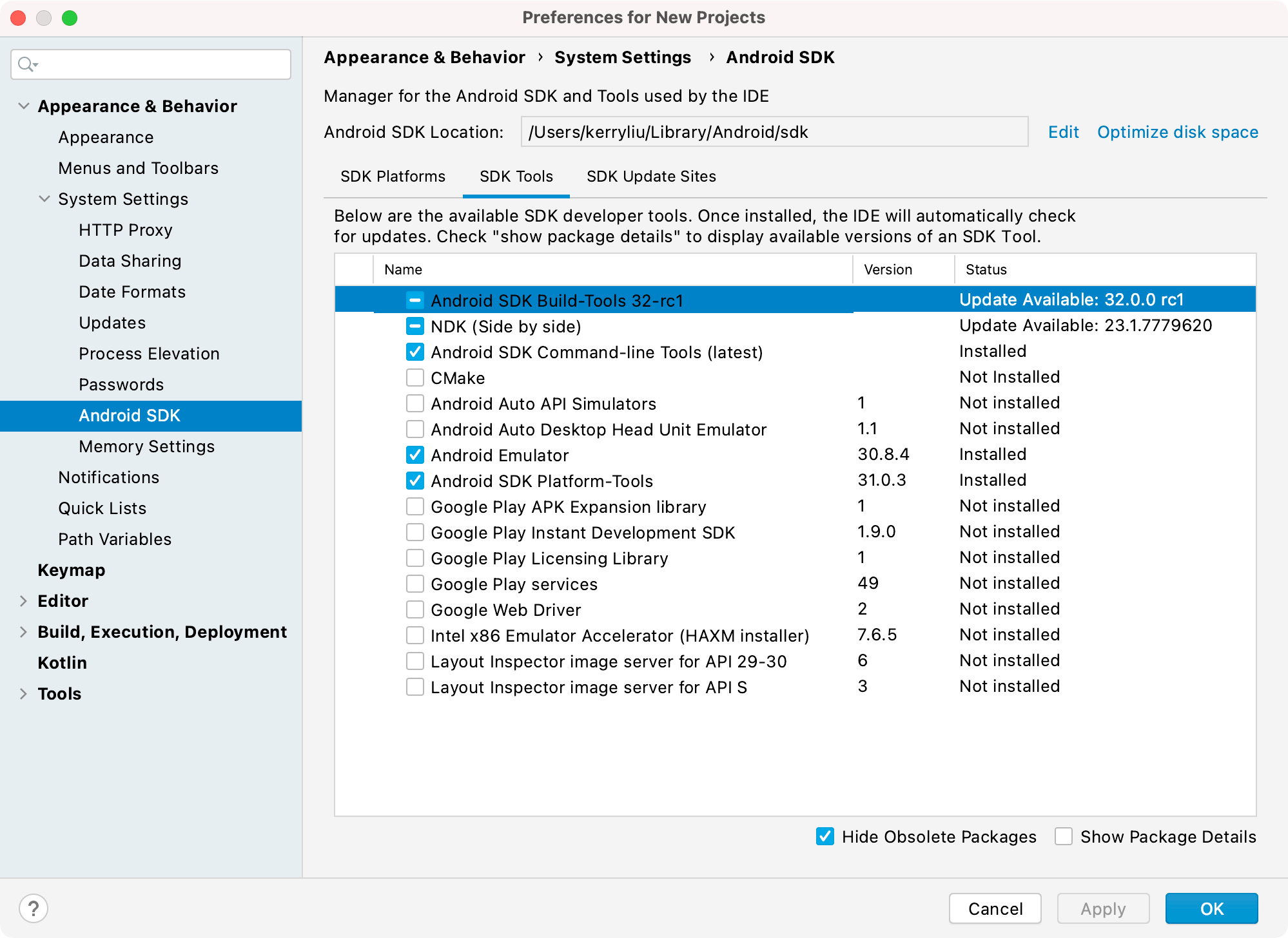 Screenshot of the package manager displaying SDK Tools.