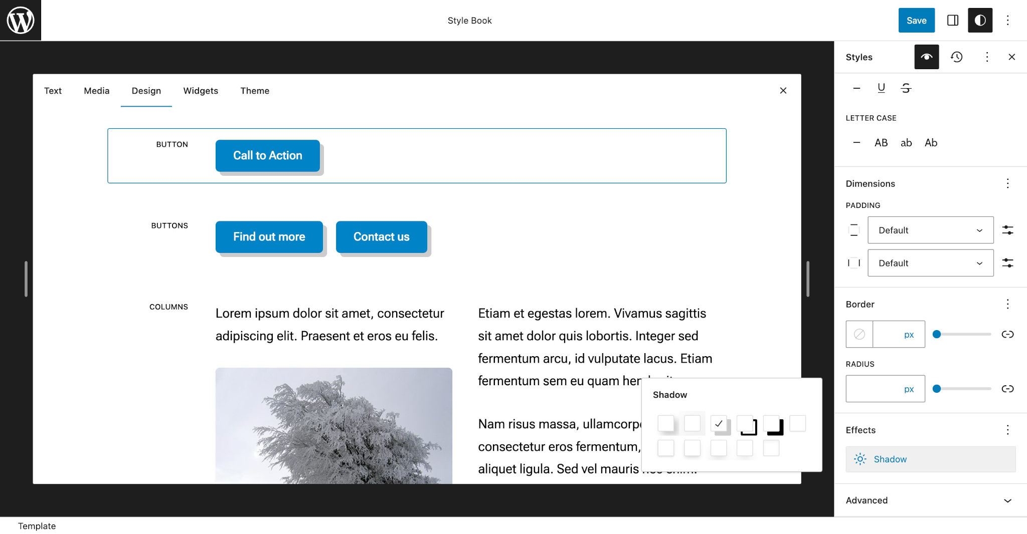 WordPress Style Book screen with the Button block highlighted. It has a gray drop-shadow.