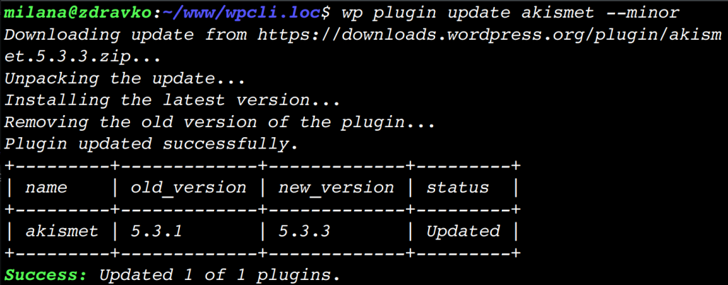 将 Akismet 插件更新到最新次要版本的 WP-CLI 命令输出。