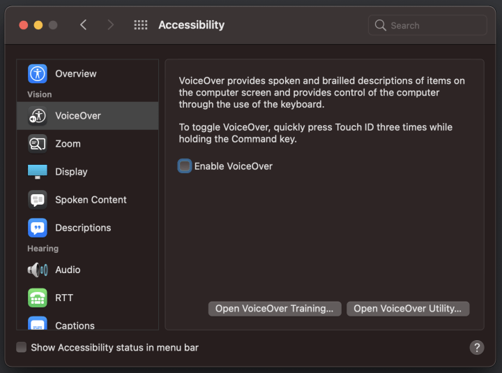 macOS accessibility preferences panel
