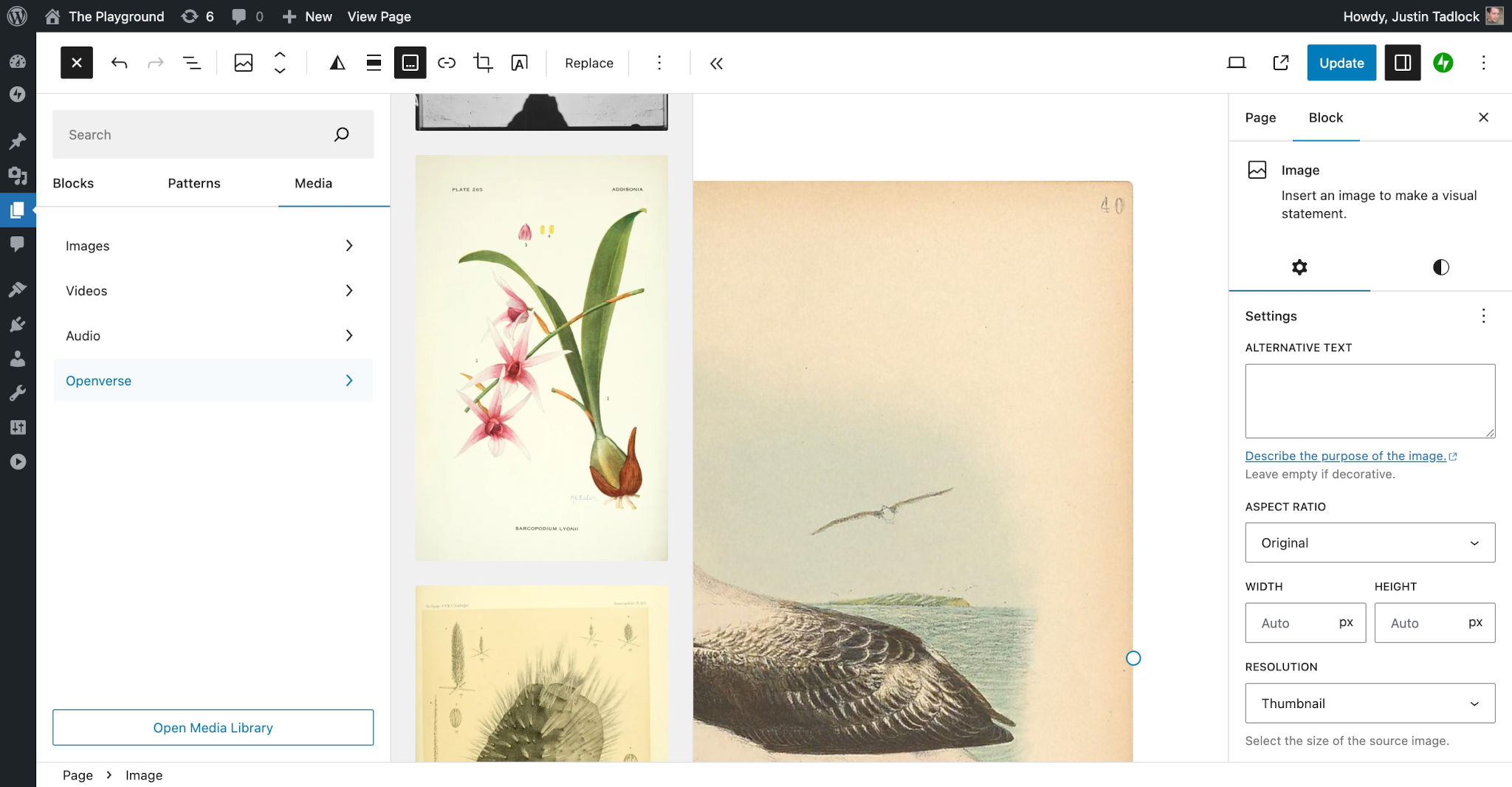WordPress 文章编辑器，媒体插入器已打开。显示了 Openverse 媒体类别滑出面板，其中列出了可供选择的图片列表。