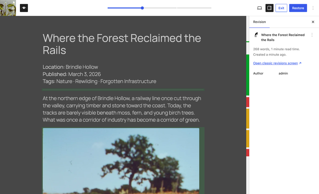 编辑器内修订屏幕